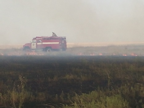 В течение суток пожарные 5 раз тушили горящую траву на открытой территории - «МЧС» В течение суток пожарные 5 раз тушили горящую траву на открытой территории - «МЧС»
