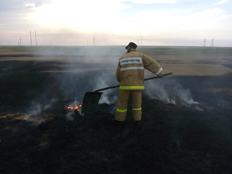 В течение суток пожарные 5 раз тушили горящую траву на открытой территории - «МЧС» В течение суток пожарные 5 раз тушили горящую траву на открытой территории - «МЧС»