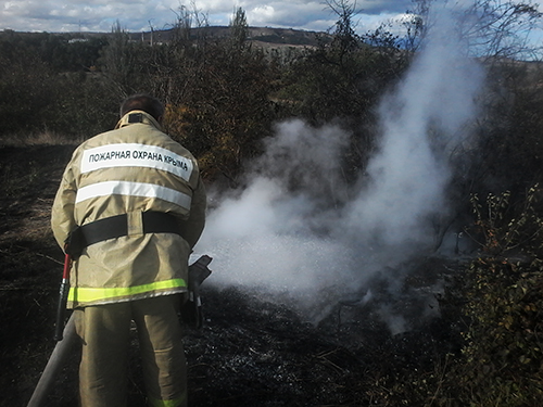 В течение суток пожарные 5 раз тушили горящую траву на открытой территории - «МЧС» В течение суток пожарные 5 раз тушили горящую траву на открытой территории - «МЧС»