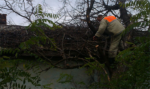 Сотрудники ГКУ РК «Пожарная охрана Республики Крым» пгт. Почтовое оказали помощь при ликвидации последствий непогоды - «МЧС» Сотрудники ГКУ РК «Пожарная охрана Республики Крым» пгт. Почтовое оказали помощь при ликвидации последствий непогоды - «МЧС»
