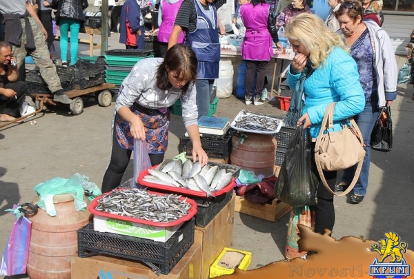 На прошлогодней хамсе продолжают спекулировать - «Керчь»