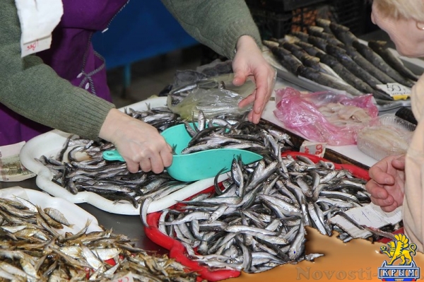 На прошлогодней хамсе продолжают спекулировать - «Керчь»