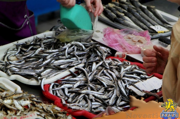 На прошлогодней хамсе продолжают спекулировать - «Керчь»