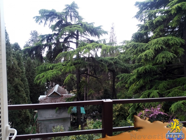 Отдых в Ялте. Гостевой дом "На Дмитриева" Отдых в Крыму 2016 - жильё в Крыму без посредников - «Отдых в Ялте»