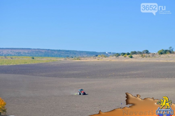 Достопримечательности Крыма: как выглядят виноградники осенью - «Симферополь»