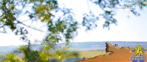 Достопримечательности Крыма: как выглядят виноградники осенью - «Симферополь»