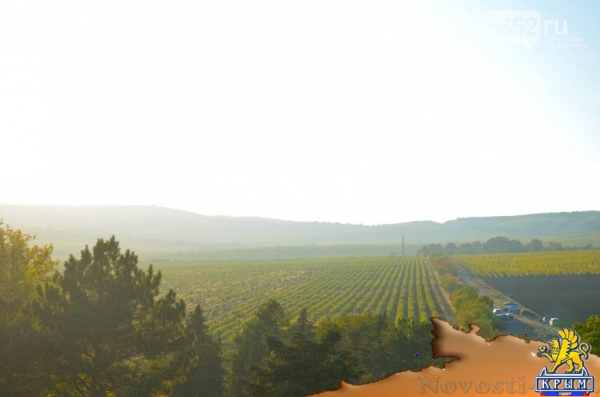 Достопримечательности Крыма: как выглядят виноградники осенью - «Симферополь»