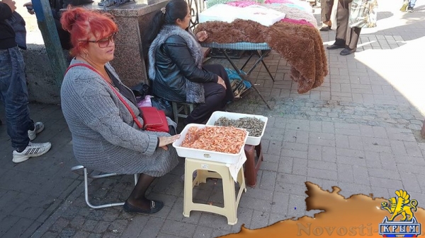 Стихийные торговцы в Керчи рассказали, что их «крышуют» - «Керчь» Стихийные торговцы в Керчи рассказали, что их «крышуют» - «Керчь»