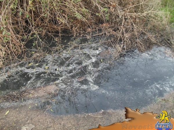 На Семи ветрах канализация снова бежит в море - «Керчь» На Семи ветрах канализация снова бежит в море - «Керчь»