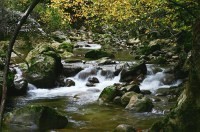 Крымчанам в следующем году обещают новые квартиры - «Новости Крыма»