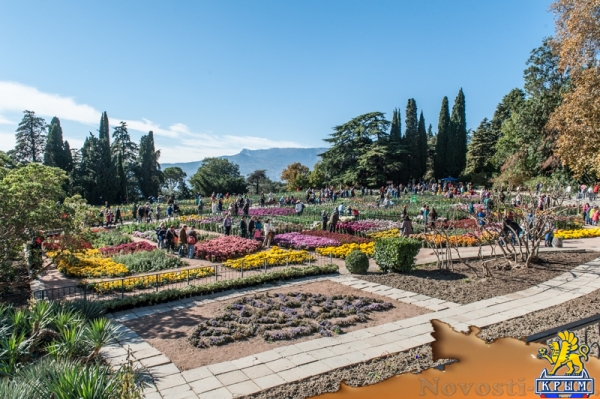 «Очей очарованье»: в Никитском ботаническом саду открыли Бал хризантем (ФОТОРЕПОРТАЖ) - «Общество Крыма»