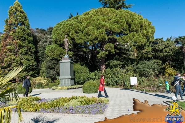 «Очей очарованье»: в Никитском ботаническом саду открыли Бал хризантем (ФОТОРЕПОРТАЖ) - «Общество Крыма»