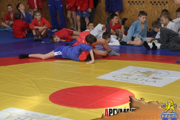 Самбисты СПКЕ «Слава» завоевали 25 медалей на первенстве клуба - «Керчь»