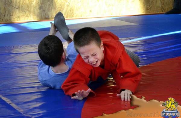 В Керчи проходит открытое первенство по самбо - «Керчь»