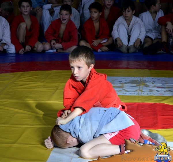В Керчи проходит открытое первенство по самбо - «Керчь»
