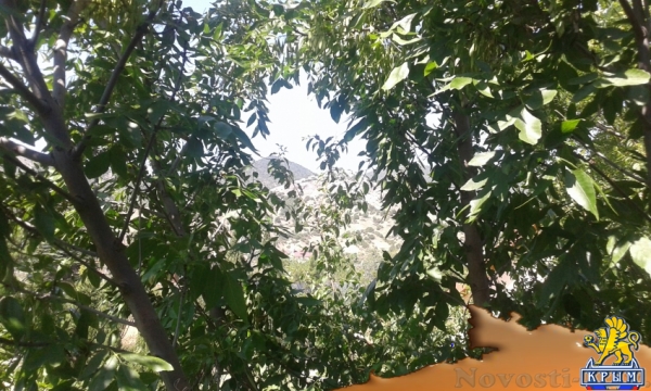 Отдых в Судаке. Простенькое жильё: 2 раздельные комнаты в Уютном (Судак) до 5 человек Отдых в Крыму 2016 - жильё в Крыму без посредников - «Отдых в Судаке»