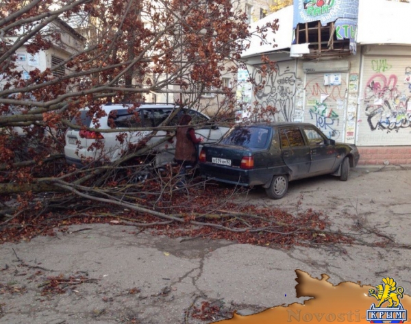 В Симферополе упавшее дерево оборвало кабель, перегородило дорогу и заблокировало авто (ФОТО) - «Симферополь»