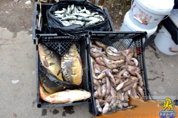 ФССП и администрация Симферополя провели первый рейд по взысканию долгов со злостных неплательщиков штрафов (ФОТО, ВИДЕО) - «Политика Крыма»