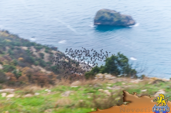 Над скалой Святого Георгия (ФОТО) - «Общество Крыма» Над скалой Святого Георгия (ФОТО) - «Общество Крыма»