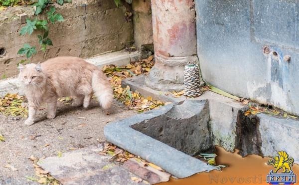 Над скалой Святого Георгия (ФОТО) - «Общество Крыма» Над скалой Святого Георгия (ФОТО) - «Общество Крыма»