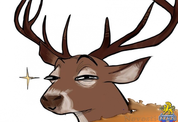 10 способов встретить Новый год не так, как обычно (ФОТО) - «Симферополь»