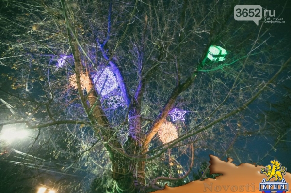 Симферопольский парк: игра ночных огней (ФОТО) - «Симферополь»