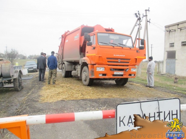 В правительстве Крыма рассказали, как борются со вспышкой АЧС в одном из районов республики (ФОТО) - «Симферополь»