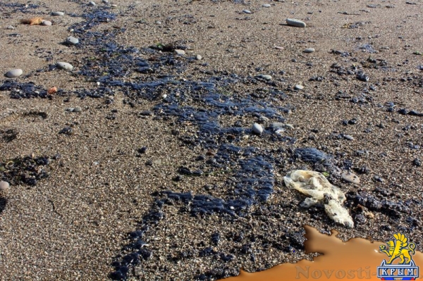 Разлив мазута зафиксирован в акватории Судака (ФОТО) - «Туризм Крыма» Разлив мазута зафиксирован в акватории Судака (ФОТО) - «Туризм Крыма»