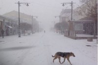 В воскресенье в Крыму до 9 градусов тепла, местами дожди - «Новости Крыма»