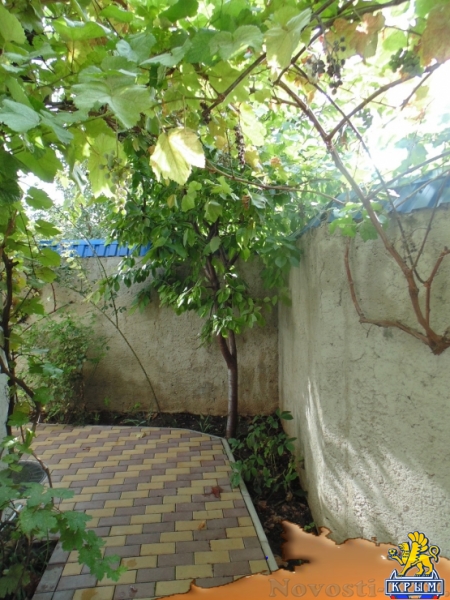 Отдых в Евпатории. Сдается 1-ком. коттедж, 2 мин.пеш. к набережной центр Евпатории, посуточно, круглый год. Отдых в Крыму 2016 - жильё в Крыму без посредников - «Отдых в Евпатории»