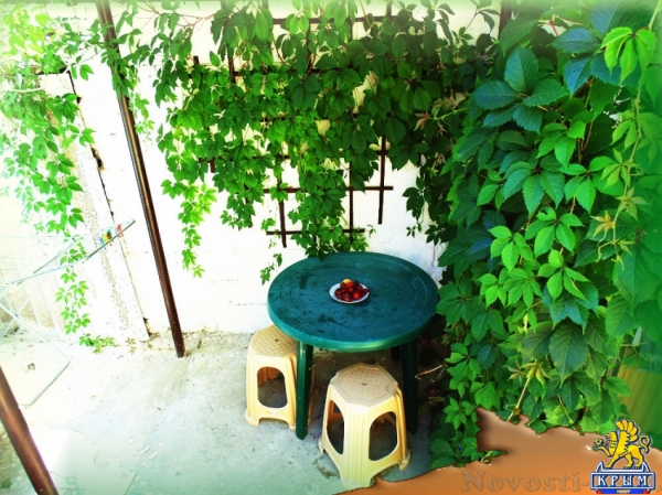 Отдых в Евпатории. Сдается 1-ком.кв., 4 мин.пеш. к набережной центр Евпатория, посуточно, круглый год. Отдых в Крыму 2016 - жильё в Крыму без посредников - «Отдых в Евпатории»