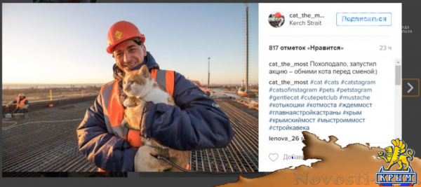 Крымский мост запустил акцию – "Обними кота" (ФОТО) - «Симферополь»
