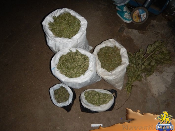 Житель Джанкойского района может провести 10 лет в заключении за хранение 8 кг марихуаны на чердаке (ФОТО) - «Общество Крыма»