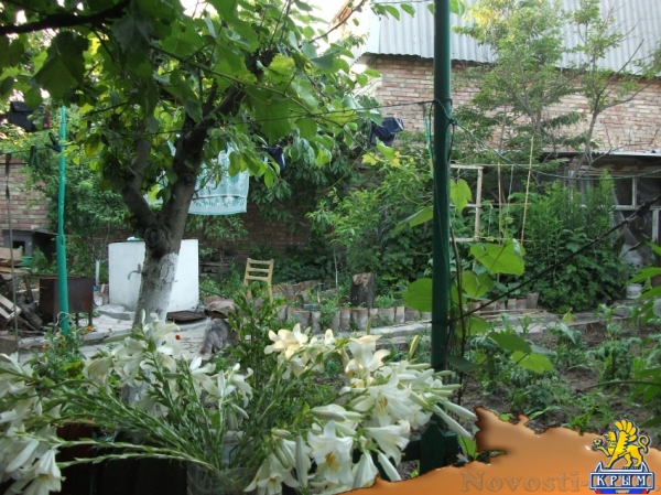 Отдых в Феодосии. Отдых в Феодосии. Двухкомнатный дом на Чехова Отдых в Крыму 2016 - жильё в Крыму без посредников - «Отдых в Феодосии»