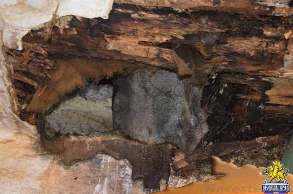 Жильцам симферопольского общежития пообещали отремонтировать протекающую крышу до 25 декабря (ФОТО) - «Симферополь»