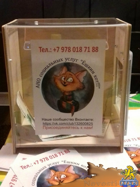 В Керчи создали организацию для работы с животными - «Керчь» В Керчи создали организацию для работы с животными - «Керчь»