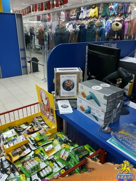 В Керчи создали организацию для работы с животными - «Керчь» В Керчи создали организацию для работы с животными - «Керчь»