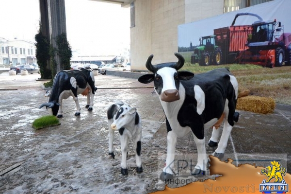 Аксёнов по достоинству оценил достижения Первомайского района (ФОТО) - «Политика Крыма»