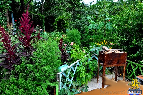 Отдых в Коктебеле. Жильё эконом класса Отдых в Крыму 2017 - жильё в Крыму без посредников - «Отдых в Коктебеле»