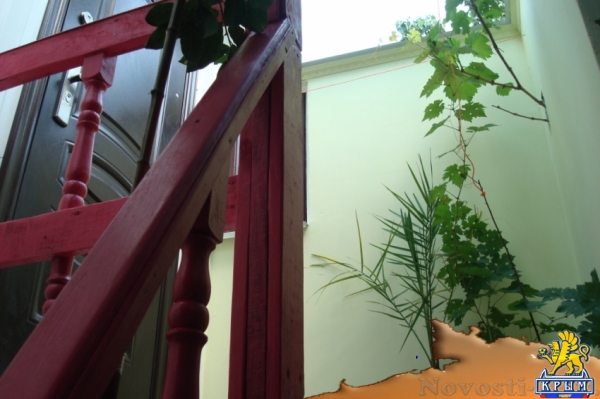 Отдых в Ялте. Сдам свою 1-комнатную квартиру в Ялте! Незабываемый летний отдых! Отдых в Крыму 2017 - жильё в Крыму без посредников - «Отдых в Ялте»