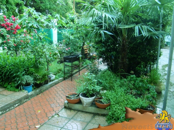 Отдых в Ялте. Великолепный отдых в частном секторе в Ялте, 60 м? Отдых в Крыму 2017 - жильё в Крыму без посредников - «Отдых в Ялте»