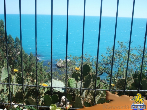 Отдых в Ялте. Сдаётся отдельно стоящий домик над морем. Кастрополь(район Фороса). Отдых в Крыму 2017 - жильё в Крыму без посредников - «Отдых в Ялте»