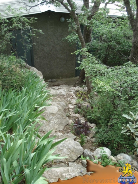 Отдых в Ялте. Сдаётся отдельно стоящий домик над морем. Кастрополь(район Фороса). Отдых в Крыму 2017 - жильё в Крыму без посредников - «Отдых в Ялте»