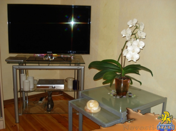 Отдых в Ялте. Сдаётся шикарная 2-ух комн. квартира около набережной в Ялте. Отдых в Крыму 2017 - жильё в Крыму без посредников - «Отдых в Ялте»