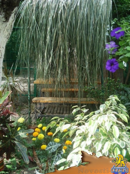 Отдых в Ялте. Сдаётся 3 этаж частного дома в Кастрополе. Шикарный вид из всех окон на море, горы. Отдых в Крыму 2017 - жильё в Крыму без посредников - «Отдых в Ялте»