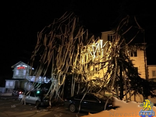 В Ялте елку украсили туалетной бумагой - «Новости Крыма»