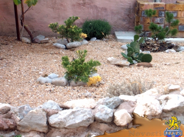 Отдых в Береговом. Отдельный дом .50 метров от Золотого Пляжа пос Береговое Отдых в Крыму 2017 - жильё в Крыму без посредников - «Отдых в Береговом»