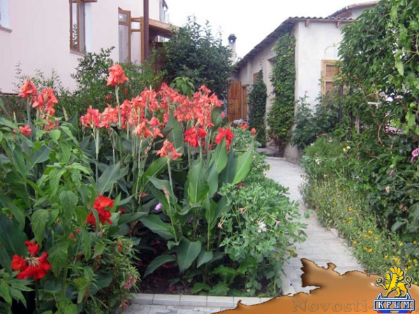 Отдых в Коктебеле. Отдых в коктебеле частный гостевой дом Отдых в Крыму 2017 - жильё в Крыму без посредников - «Отдых в Коктебеле»