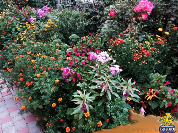 Отдых в Судаке. СУДАК, ГОСТЕВОЙ ДОМ "ПРОХЛАДА" Отдых в Крыму 2017 - жильё в Крыму без посредников - «Отдых в Судаке»