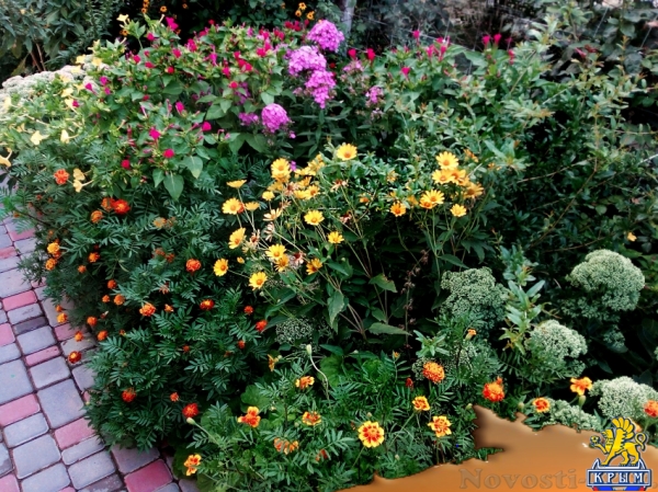 Отдых в Судаке. СУДАК, ГОСТЕВОЙ ДОМ "ПРОХЛАДА" Отдых в Крыму 2017 - жильё в Крыму без посредников - «Отдых в Судаке»